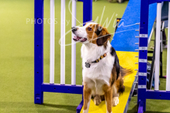 12-8-9-10-Jen-Pinder-498