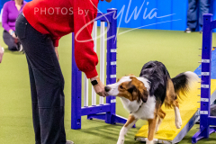 12-8-9-10-Jen-Pinder-502