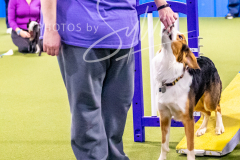 12-8-9-10-Jen-Pinder-504