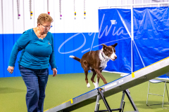 12-8-9-10-Jen-Pinder-509