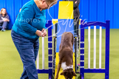 12-8-9-10-Jen-Pinder-513