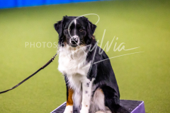 12-8-9-10-Jen-Pinder-524