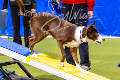 12-8-9-10-Jen-Pinder-529