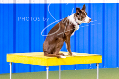 12-8-9-10-Jen-Pinder-532