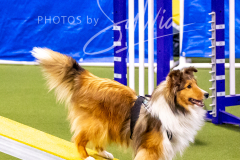 12-8-9-10-Jen-Pinder-553