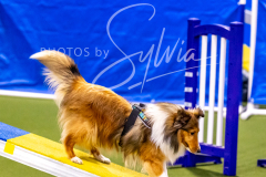 12-8-9-10-Jen-Pinder-560