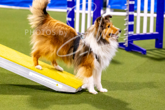 12-8-9-10-Jen-Pinder-561