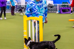 12-8-9-10-Jen-Pinder-587