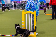 12-8-9-10-Jen-Pinder-589