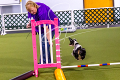 12-8-9-10-Jen-Pinder-592