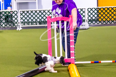 12-8-9-10-Jen-Pinder-593