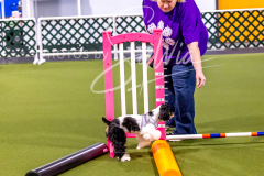 12-8-9-10-Jen-Pinder-596