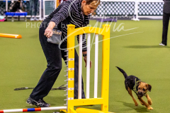 12-8-9-10-Jen-Pinder-609