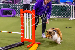 12-8-9-10-Jen-Pinder-622