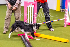 12-8-9-10-Jen-Pinder-625