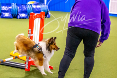 12-8-9-10-Jen-Pinder-628