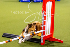 12-8-9-10-Jen-Pinder-629