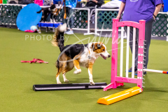 12-8-9-10-Jen-Pinder-645