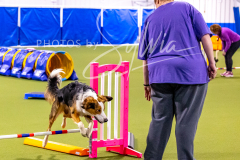 12-8-9-10-Jen-Pinder-648