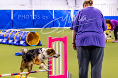 12-8-9-10-Jen-Pinder-649