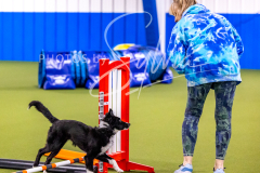 12-8-9-10-Jen-Pinder-650