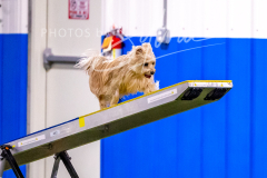 12-8-9-10-Jen-Pinder-671