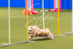 12-8-9-10-Jen-Pinder-675