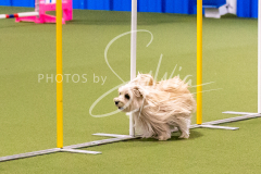 12-8-9-10-Jen-Pinder-680