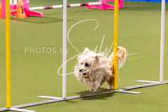 12-8-9-10-Jen-Pinder-681