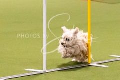 12-8-9-10-Jen-Pinder-682