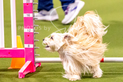 12-8-9-10-Jen-Pinder-684