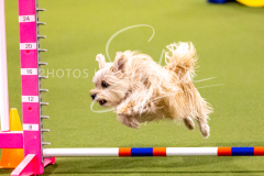 12-8-9-10-Jen-Pinder-688