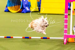 12-8-9-10-Jen-Pinder-690