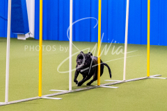 12-8-9-10-Jen-Pinder-694