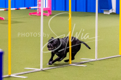 12-8-9-10-Jen-Pinder-697