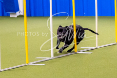 12-8-9-10-Jen-Pinder-699