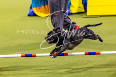 12-8-9-10-Jen-Pinder-705