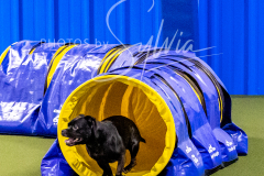 12-8-9-10-Jen-Pinder-707