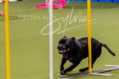 12-8-9-10-Jen-Pinder-714