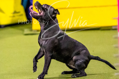 12-8-9-10-Jen-Pinder-716