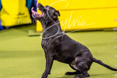 12-8-9-10-Jen-Pinder-717