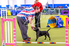 12-8-9-10-Jen-Pinder-724