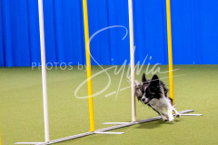 12-8-9-10-Jen-Pinder-727