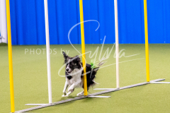 12-8-9-10-Jen-Pinder-728