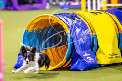 12-8-9-10-Jen-Pinder-733