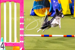 12-8-9-10-Jen-Pinder-734