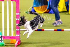 12-8-9-10-Jen-Pinder-744