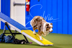 12-8-9-10-Jen-Pinder-763