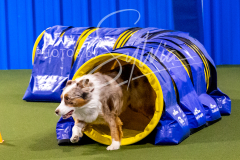 12-8-9-10-Jen-Pinder-765