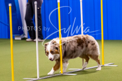 12-8-9-10-Jen-Pinder-768